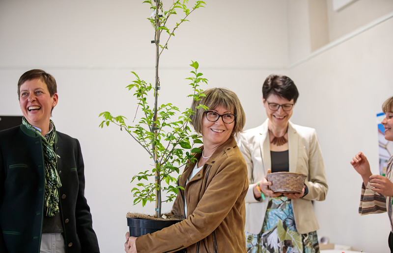 SONNTAGSBLATT, Gerd Neuhold